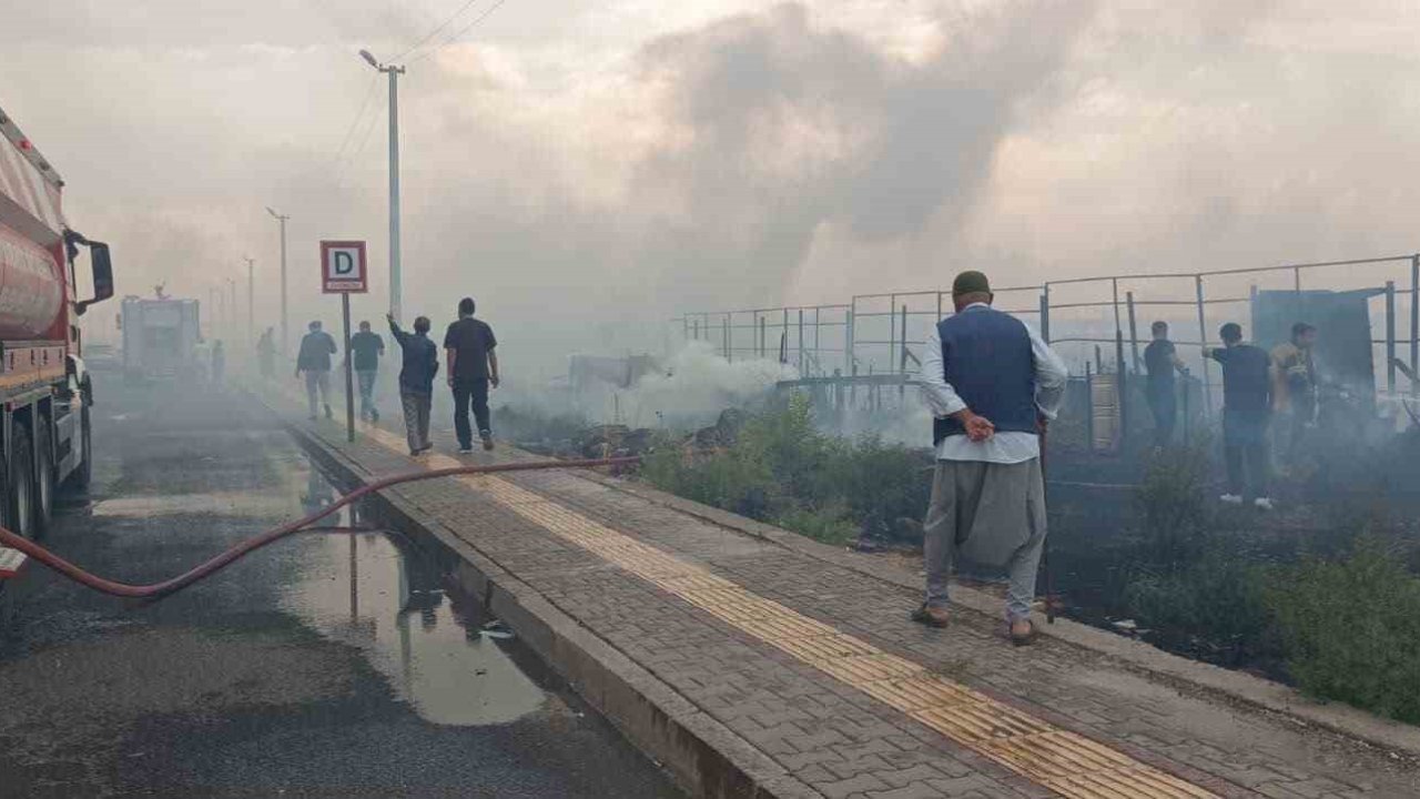 Diyarbakır’da anız yangını rüzgarın etkisiyle hayatı olumsuz etkiledi