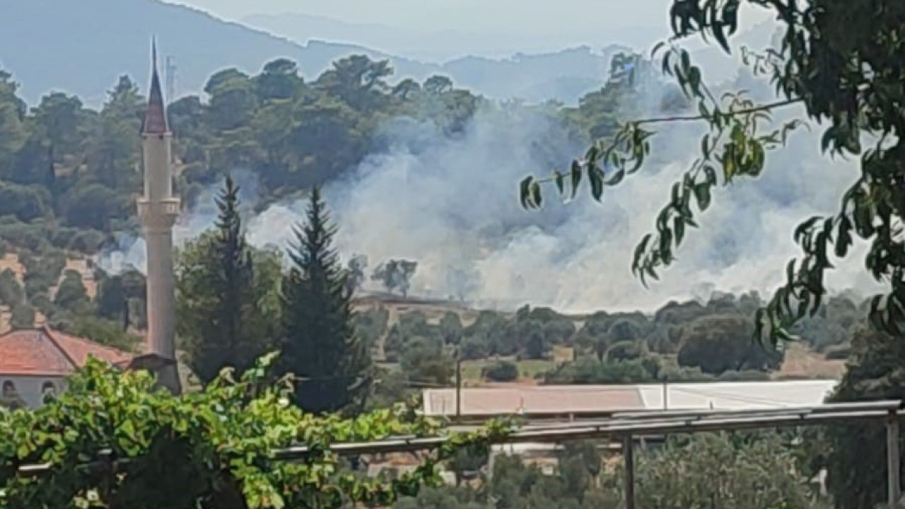 Dalaman’da orman yangını ekiplerin hızlı müdahalesi ile kontrol altına alındı