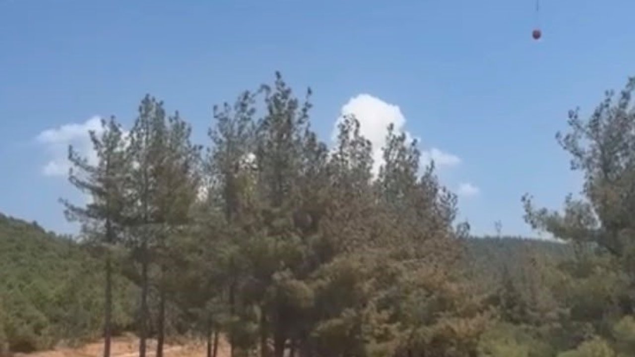 Gaziantep’te orman yangını: Havadan ve karadan müdahaleyle söndürüldü