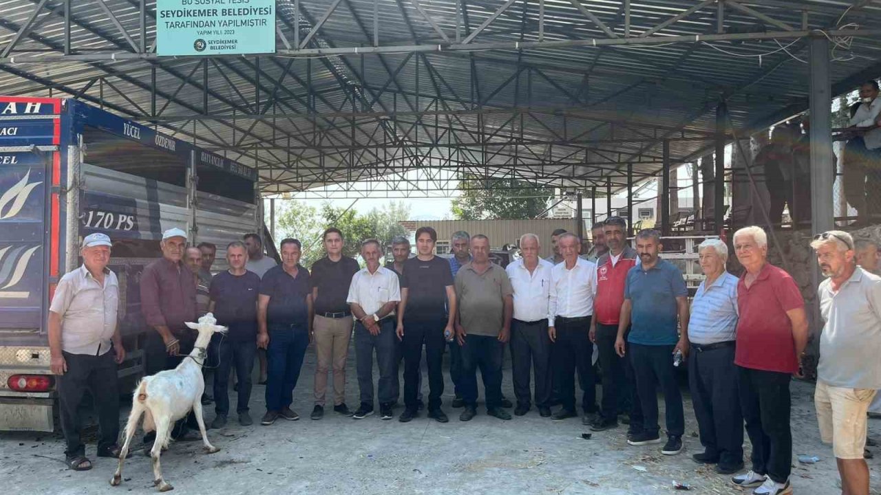 Seydikemer’de yangında hayvanlarını kaybeden çiftçilere küçükbaş hayvan desteği