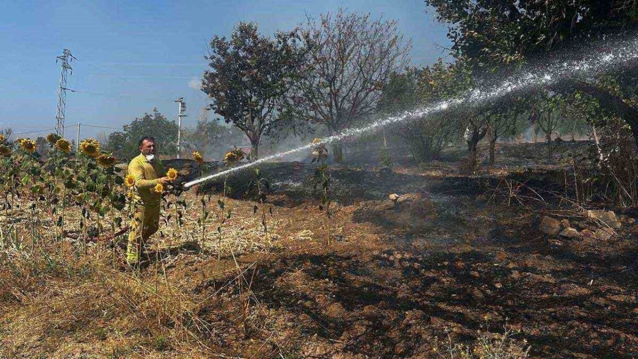 Bilecik’te ot yangını korkuttu