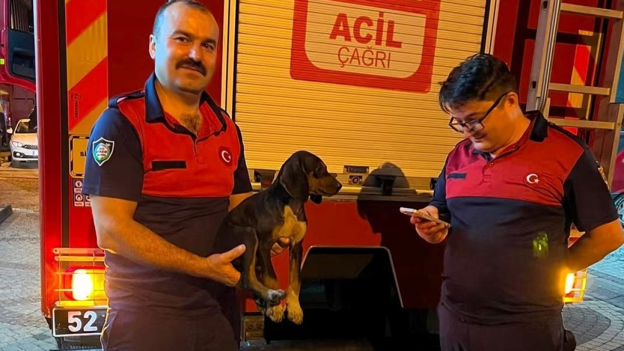 Depoya düşen köpek, itfaiye ekiplerince kurtarıldı