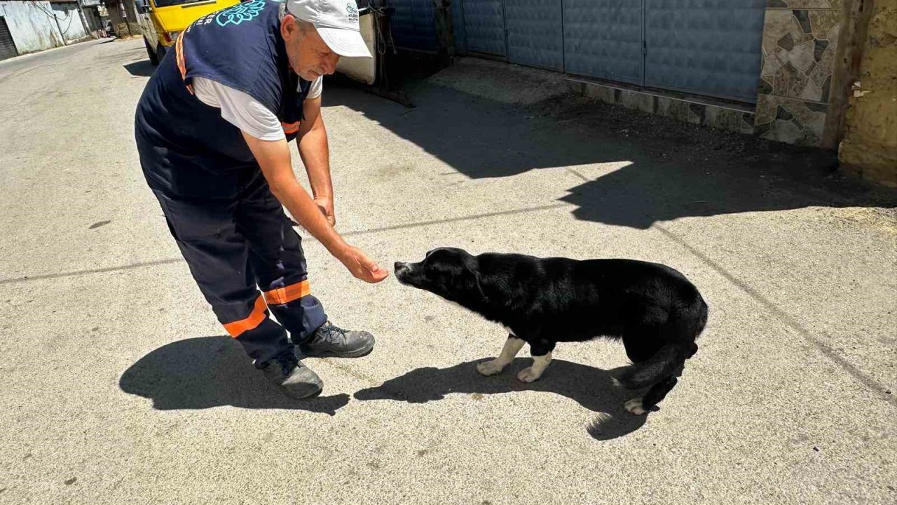 Sahibi ölen "Dayı"yı yalnız bırakmayan temizlik görevlisinin kalp ısıtan hikayesi