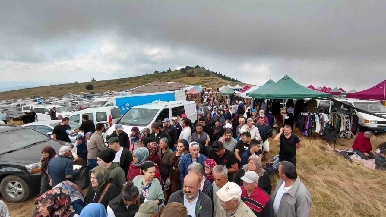 Bin 850 rakımlı zirvede şifa mesaisi: Hacet Bayramı’nda sarı kantaron topladılar