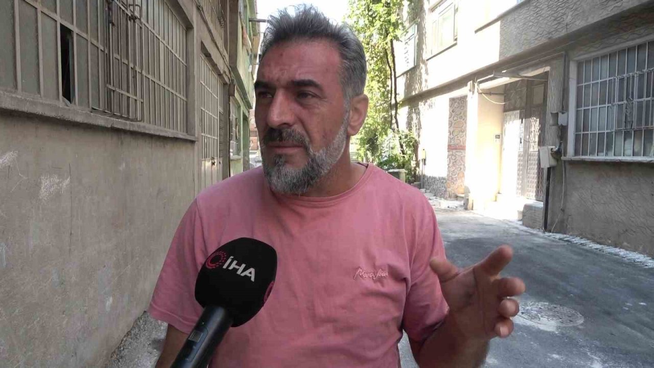 Bursa’da hayvanlara şiddet iddiası: Apartmandan dehşet çıktı, mahalleyi pireler bastı