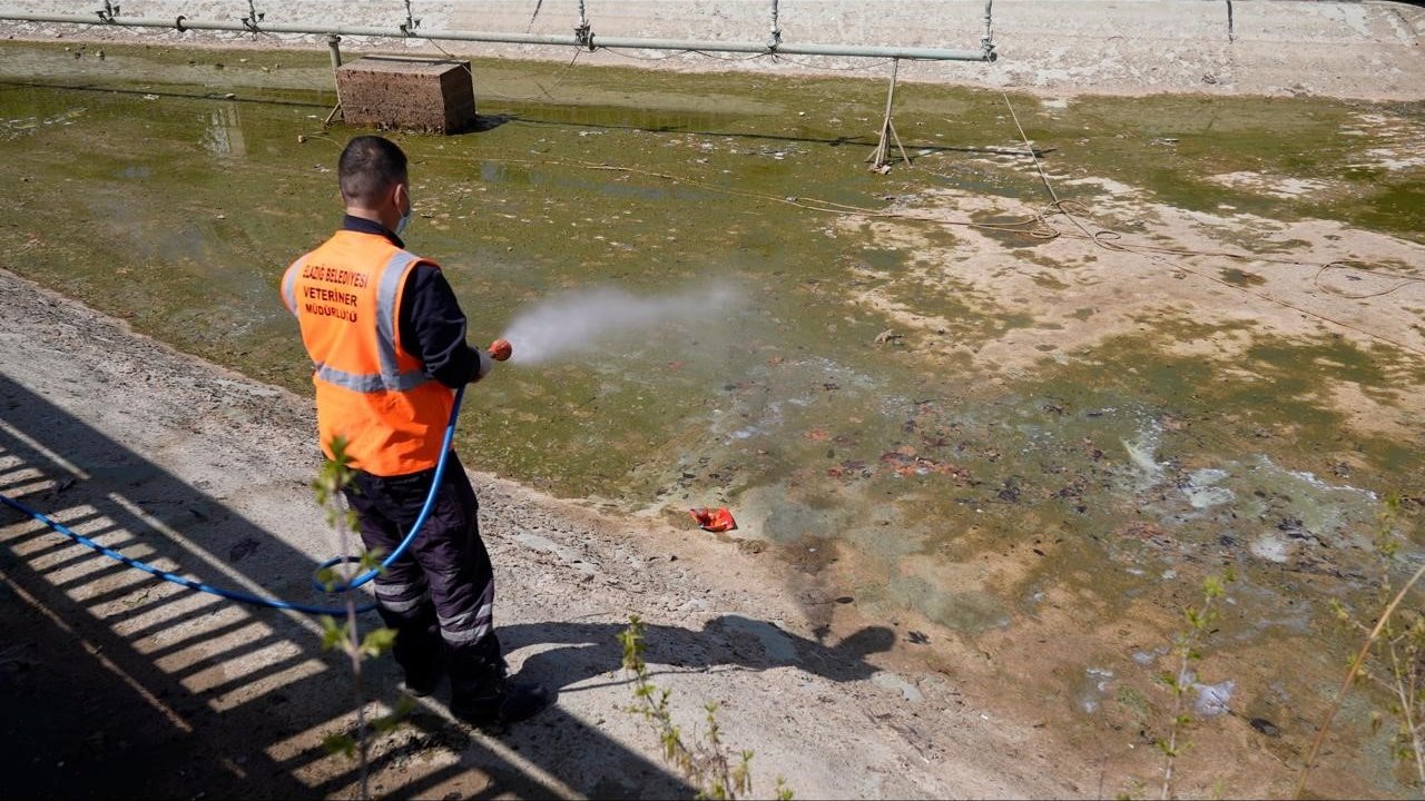 Elazığ’da İlaçlama çalışmaları sürüyor