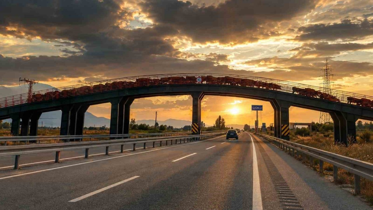 Erzincan’da hayvan sürülerine özel üst geçit
