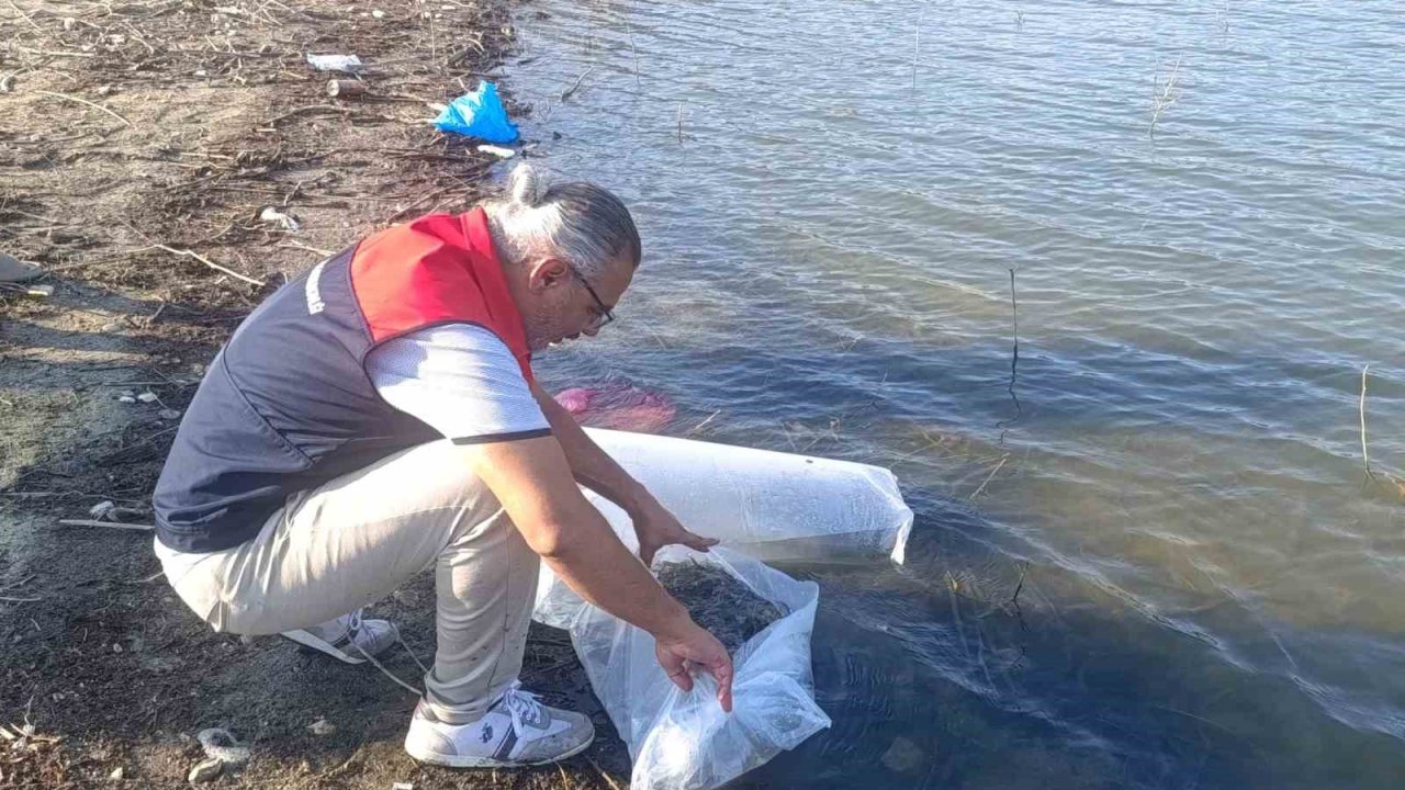 Göletlere 80 bin yavru balık bırakıldı
