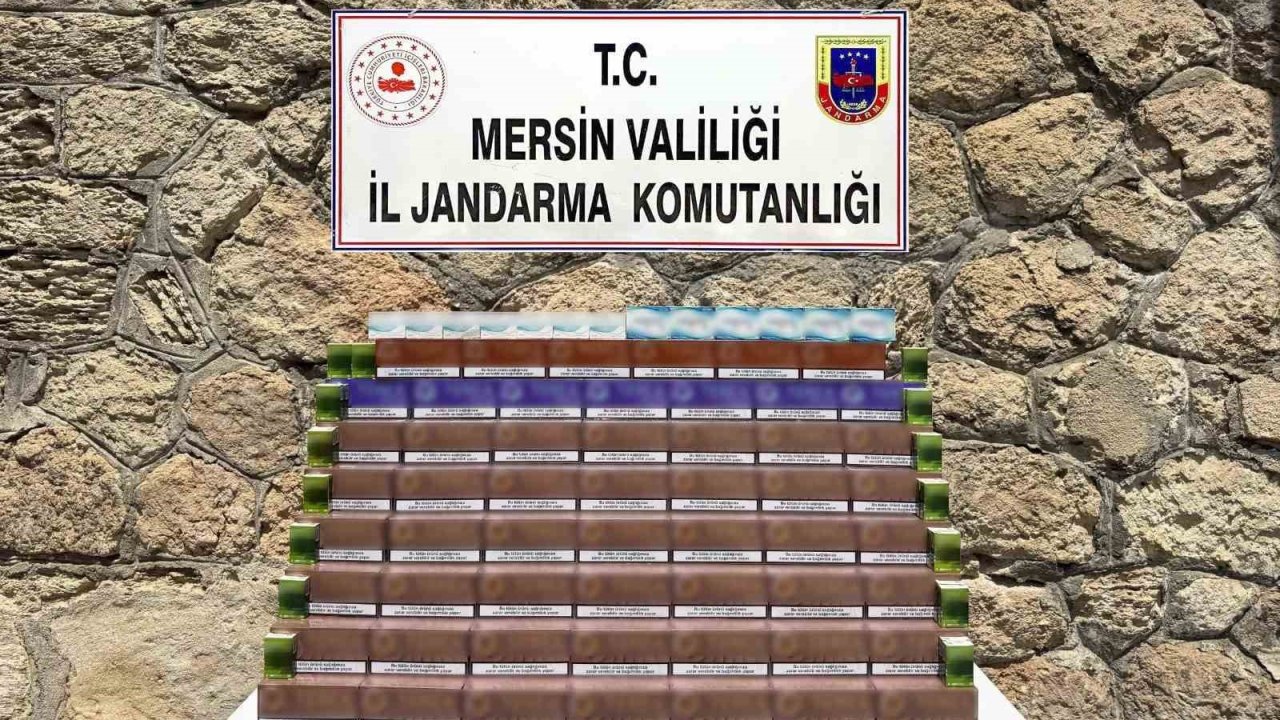 Mersin’de 3 bin 850 paket kaçak elektronik tütün ele geçirildi