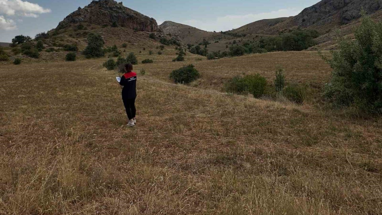 Aydıntepe’de ürün tespit ve ÇKS kontrolleri sürüyor