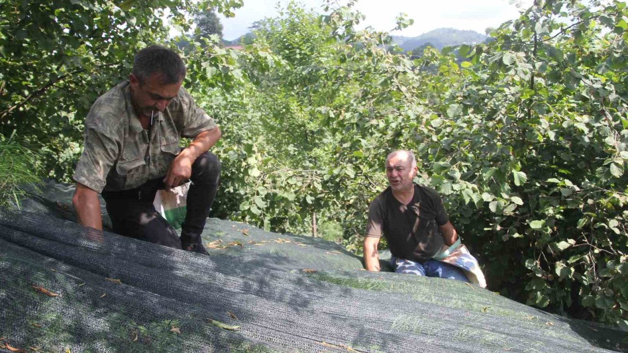 Devlet desteği ile file sistemine geçtiler, fındıkta işçilik maliyetini yüzde 80 azalttılar