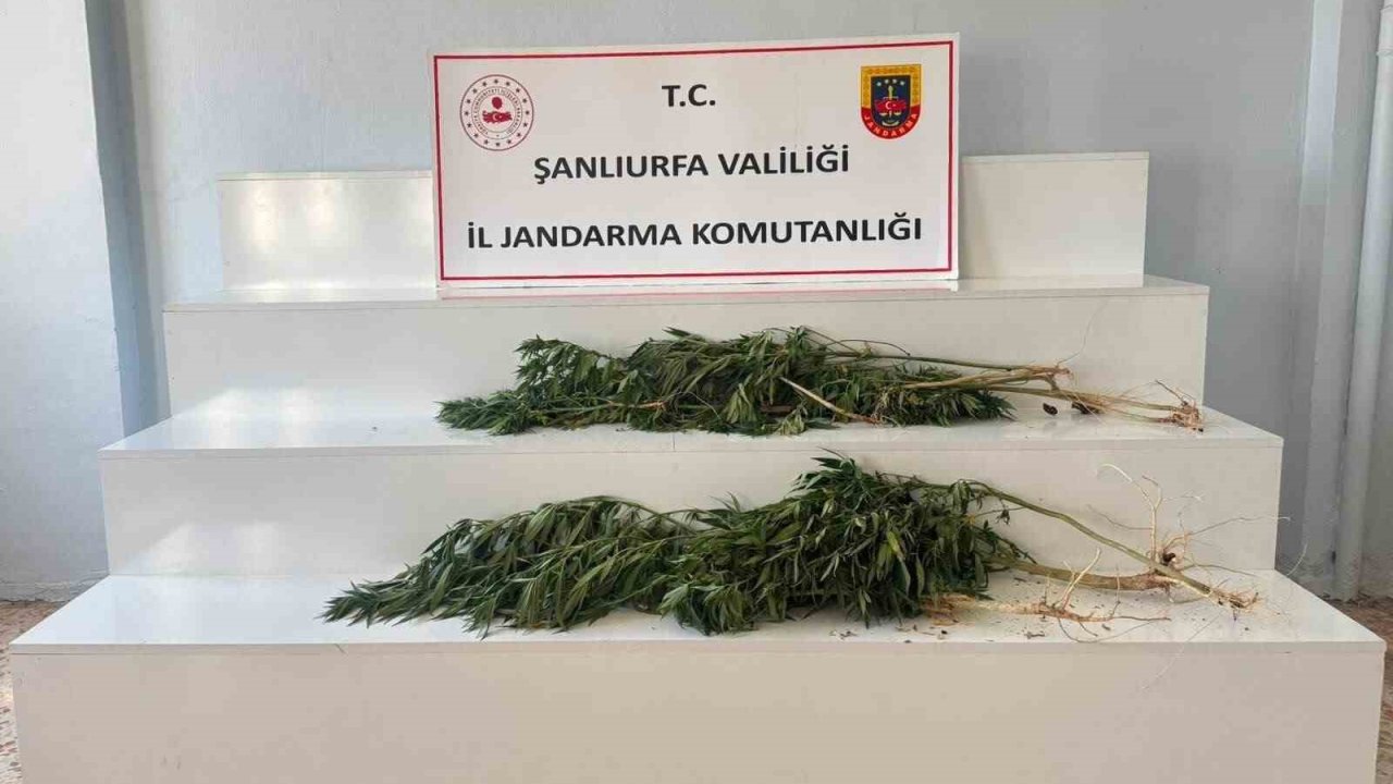 Şanlıurfa’da uyuşturucu operasyonu: 2 gözaltı
