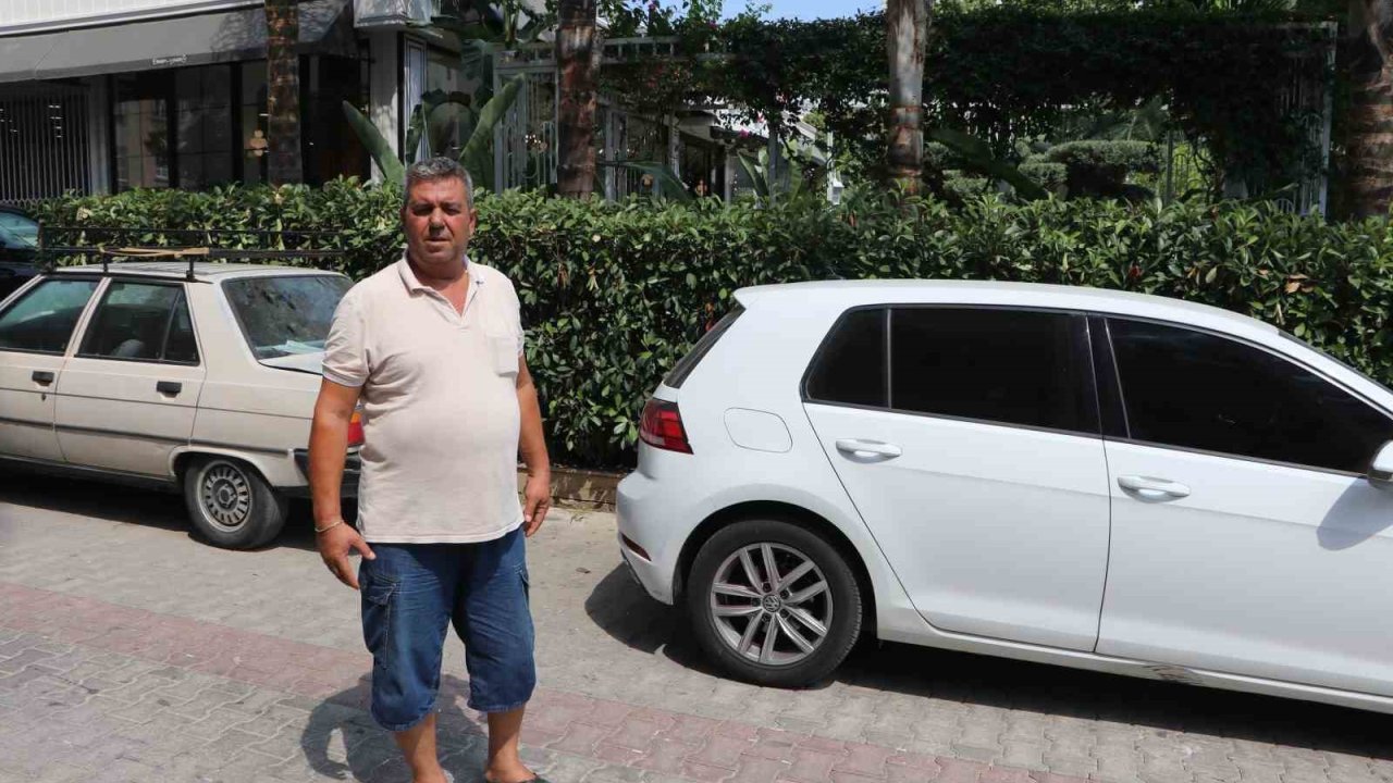 Telef olan kediyi besleyen vatandaşlardan pitbullun sahibine tepki