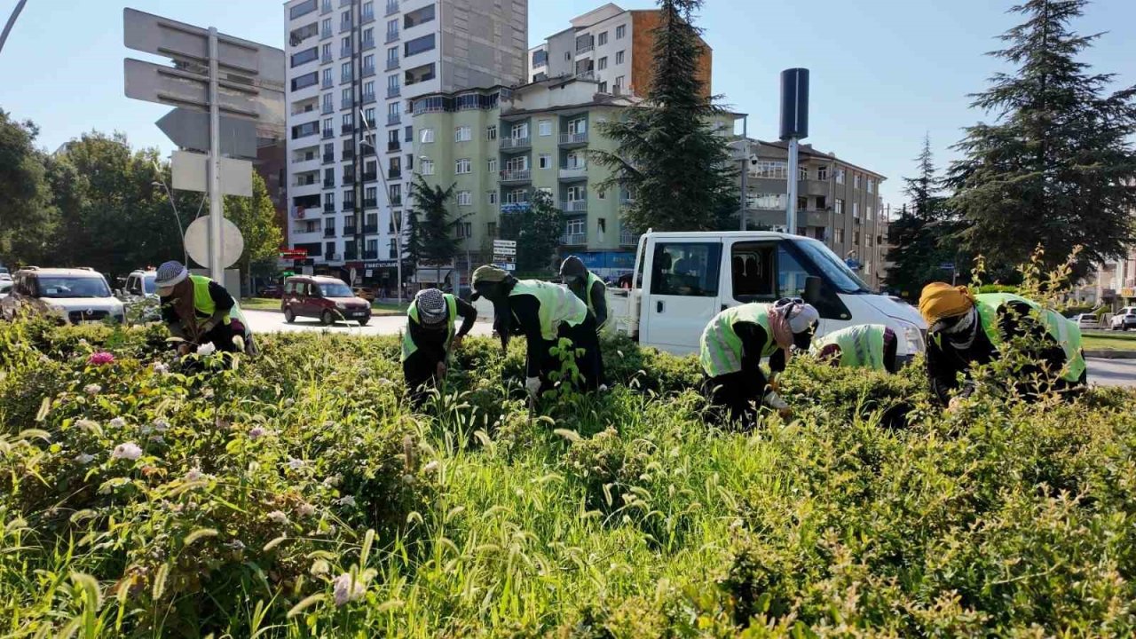 Elazığ Belediyesi, kent genelinde çalışmalarını sürdürüyor