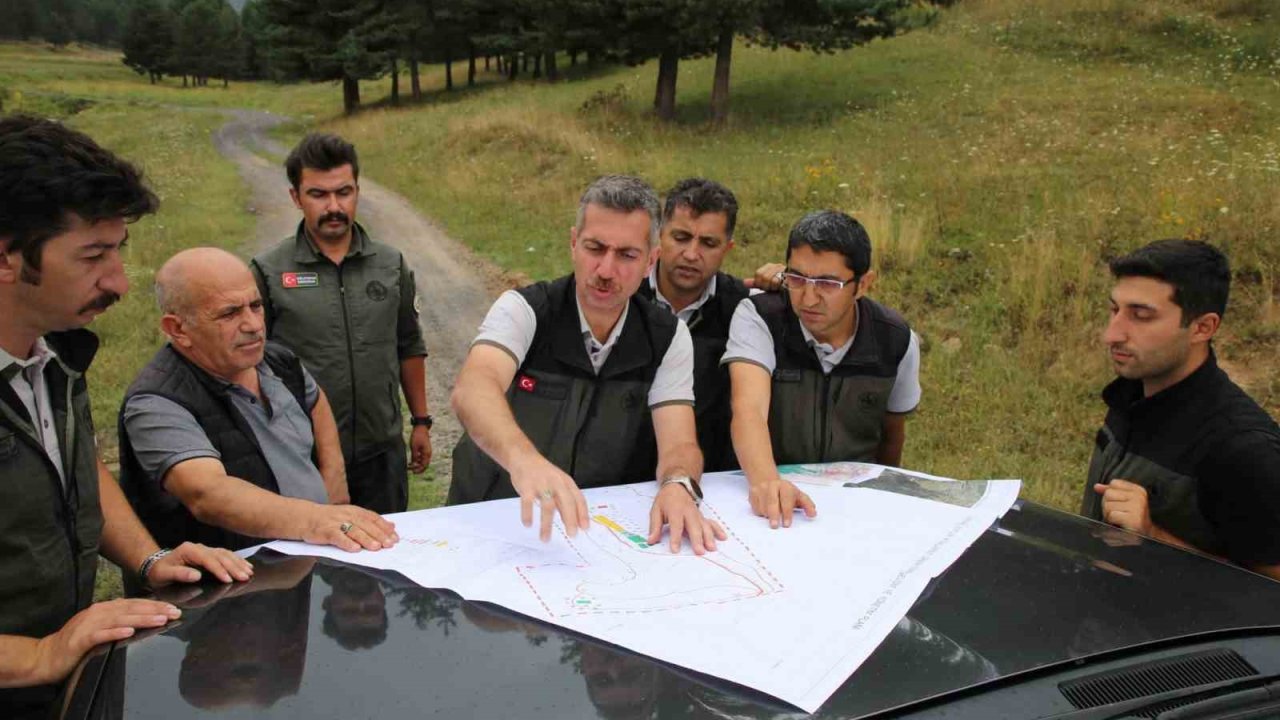 Sarıkamış’ta orman çalışmaları masaya yatırıldı: Bölge Müdürü Karakurt’tan sahalarda inceleme