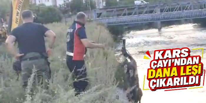 Kars Çayı’ndan Dana Leşi Çıkarıldı