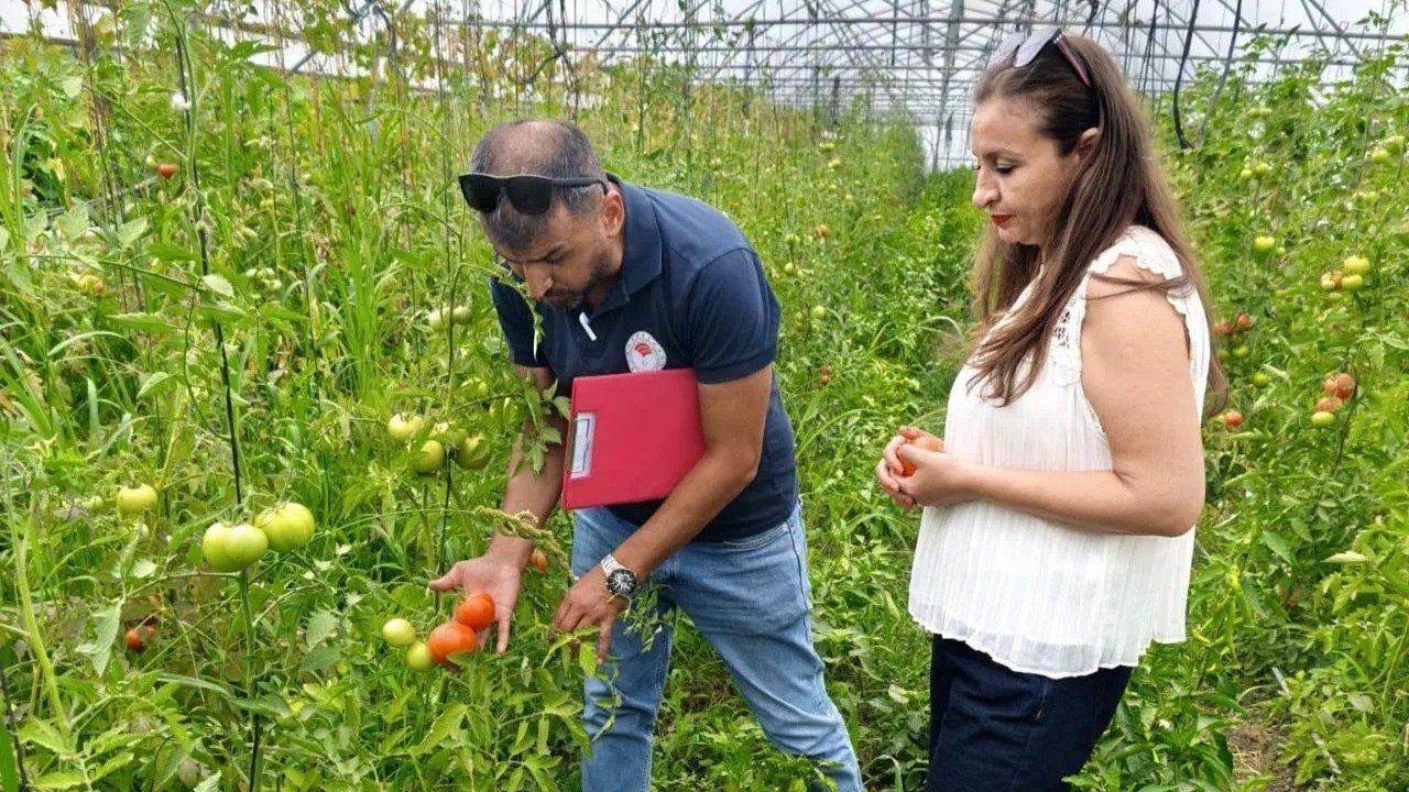 Tarım projeleri meyvelerini vermeye başladı