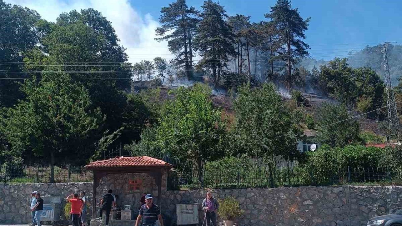 Sinop’taki orman yangınıyla ilgili 1 kişi gözaltında