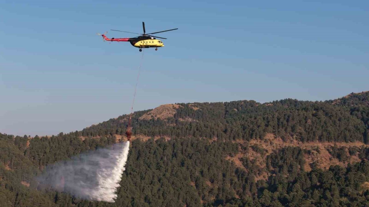 Kuyucak’taki orman yangını kontrol altına alındı