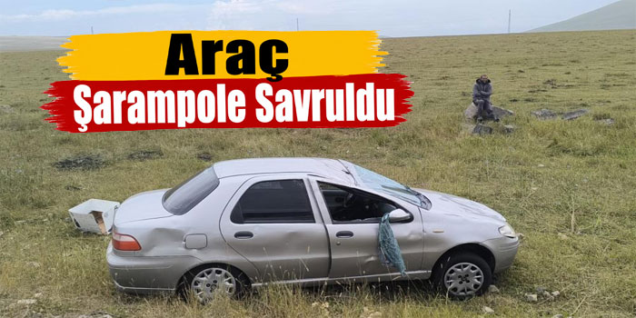 Kars-Iğdır karayolunda araç şarampole savruldu