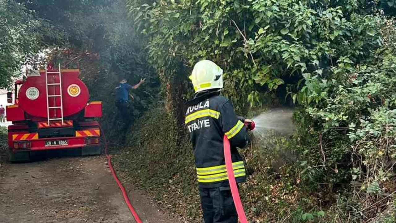 Muğla’da korkutan ot yangını: 30 metrekare alan zarar gördü