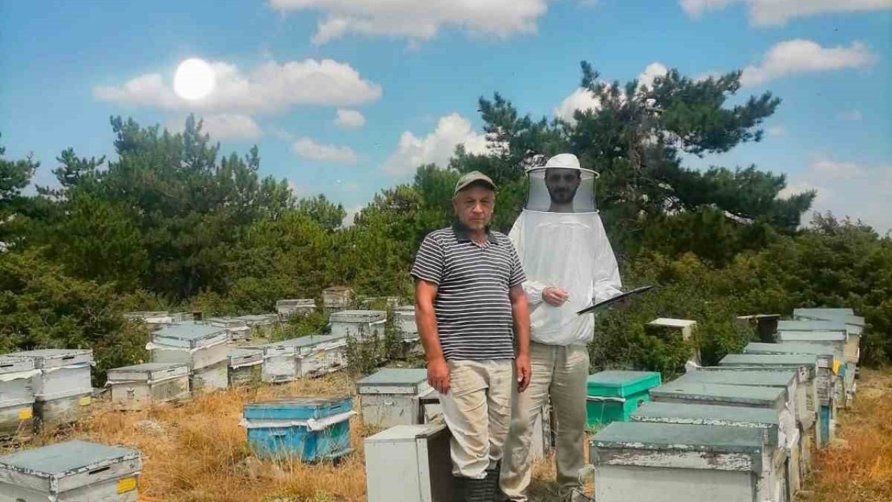 İscehisar’da arılı kovanların tespiti için saha çalışması