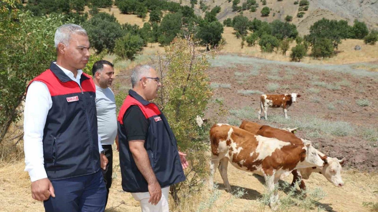 Elazığ’ Kırsalda Bereket, Hayvancılığa Destek Projesi sürüyor