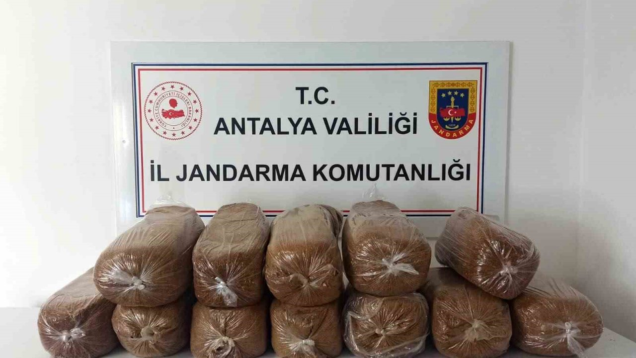 Antalya’da üç ilçede kaçak tütün operasyonu: 785 kilogram tütün ele geçirildi