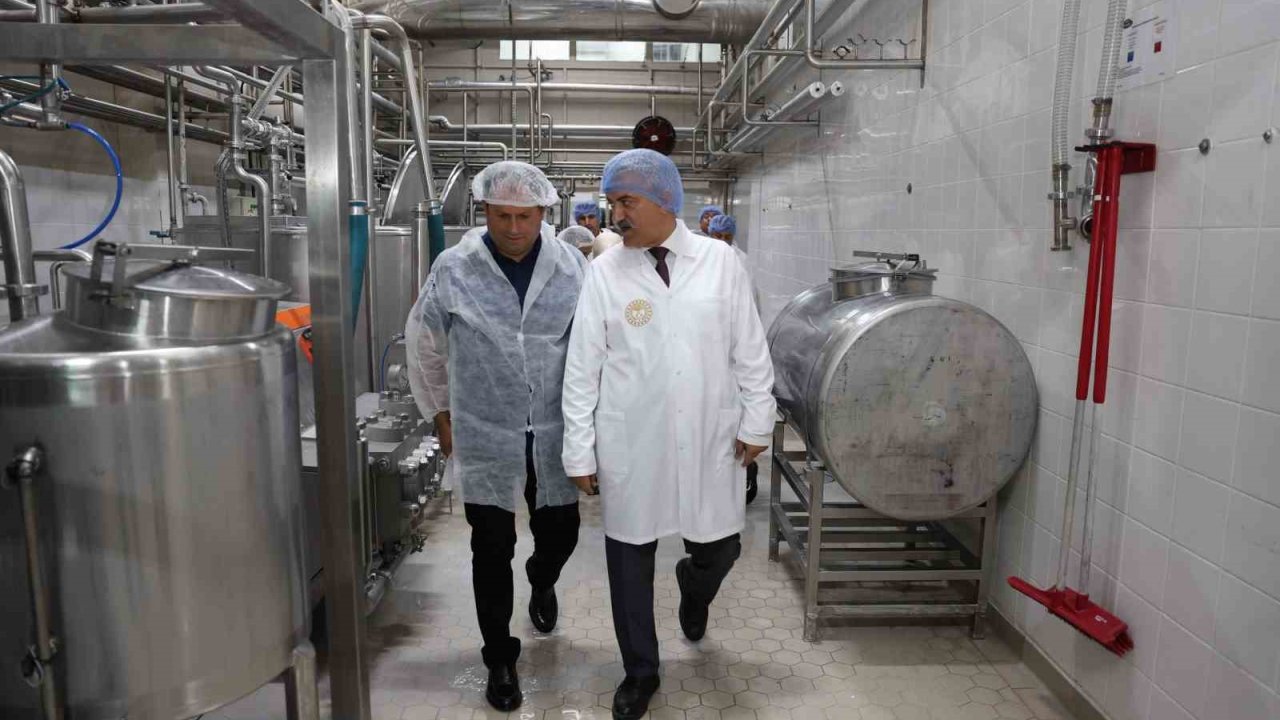 Sanayinin güçlenmesine katkı sağlıyor