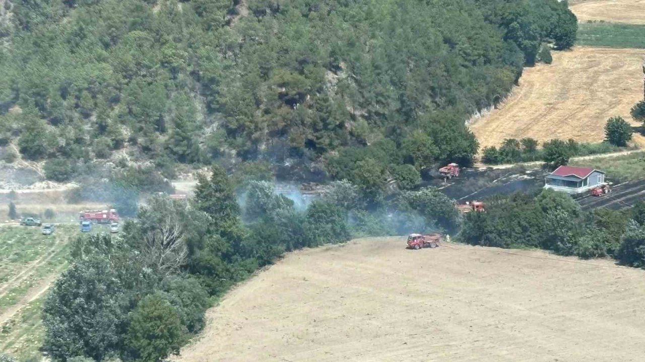 Bilecik’te ormanlık alanda yangın çıktı