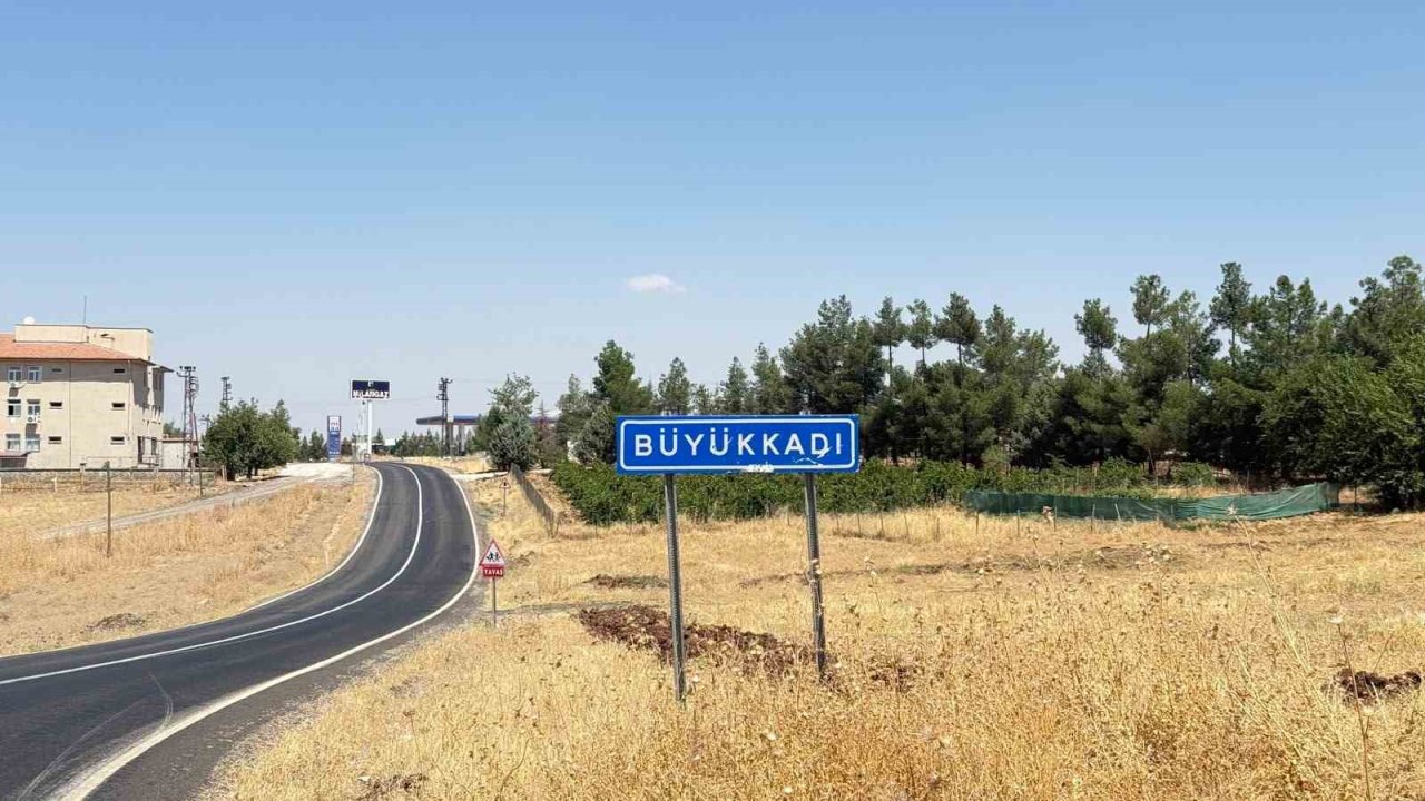 Diyarbakır Valiliğinden kuduz açıklaması