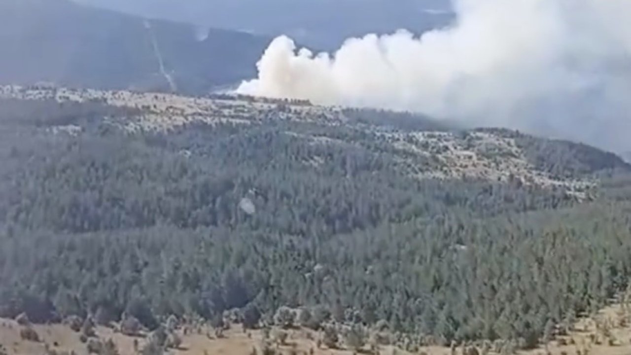 Kastamonu’da çıkan orman yangını ekiplerin hızlı müdahalesiyle söndürüldü