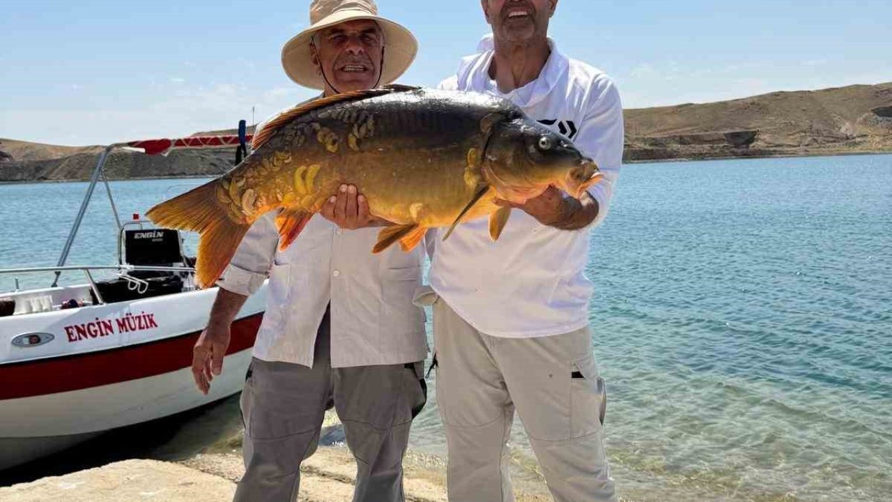 Keban Baraj Gölü’nde 27 kiloluk dev sazan yakalandı
