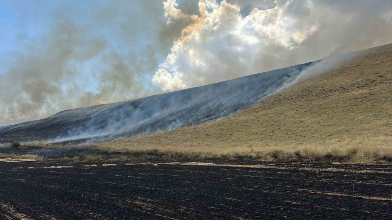 Bitlis’te örtü yangını: 400 dönüm alan küle döndü