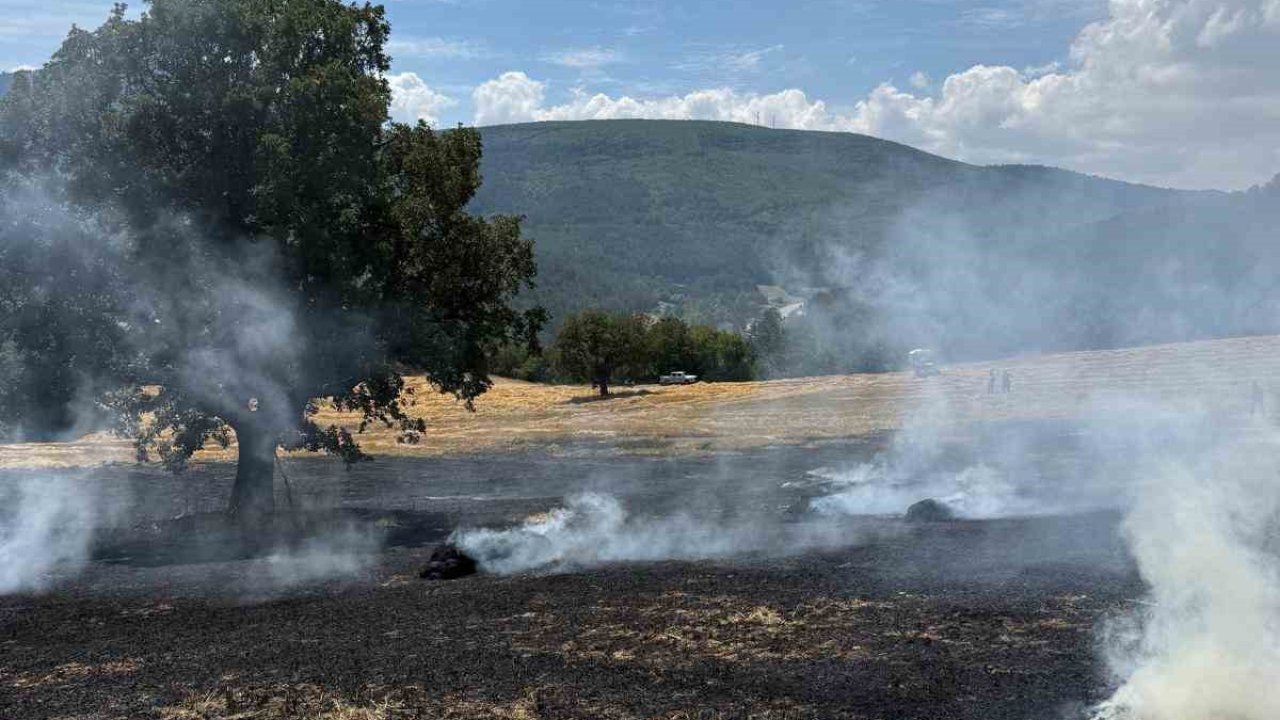 Bolu’da balya makinesinden çıkan kıvılcımlar yangına neden oldu