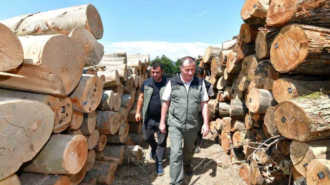 Bandırma Orman İşletme Müdürlüğündeki çalışmalar yerinde incelendi