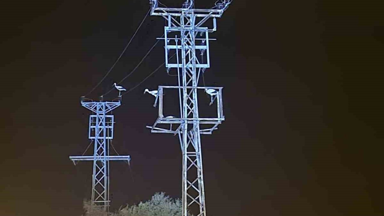 Dönüş yolundaki leyler bazı bölgeleri elektriksiz bıraktı