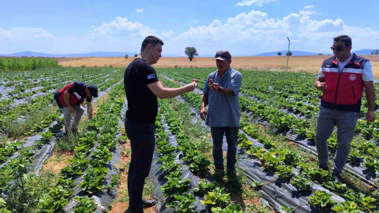 Aslanapa’da çilek ve biber üreticisine ziyaret