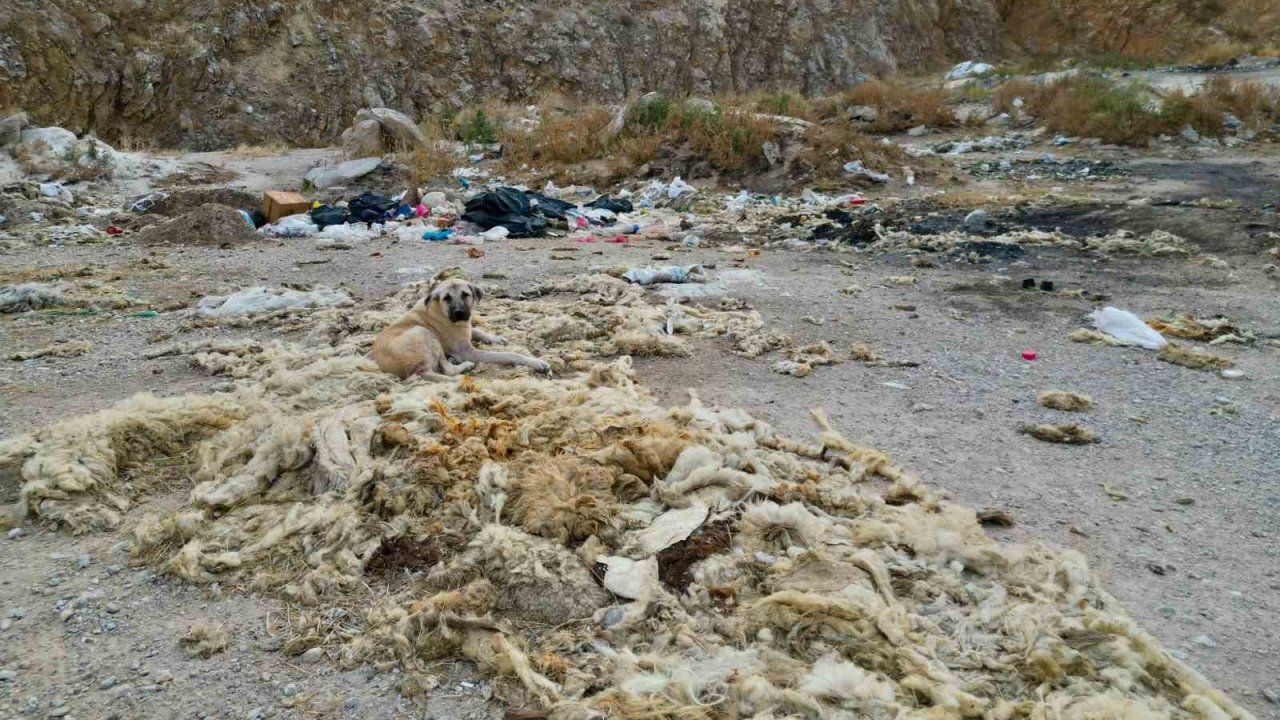 Çöplüğe dönen kum ocağında cevre felaketi yaşanıyor