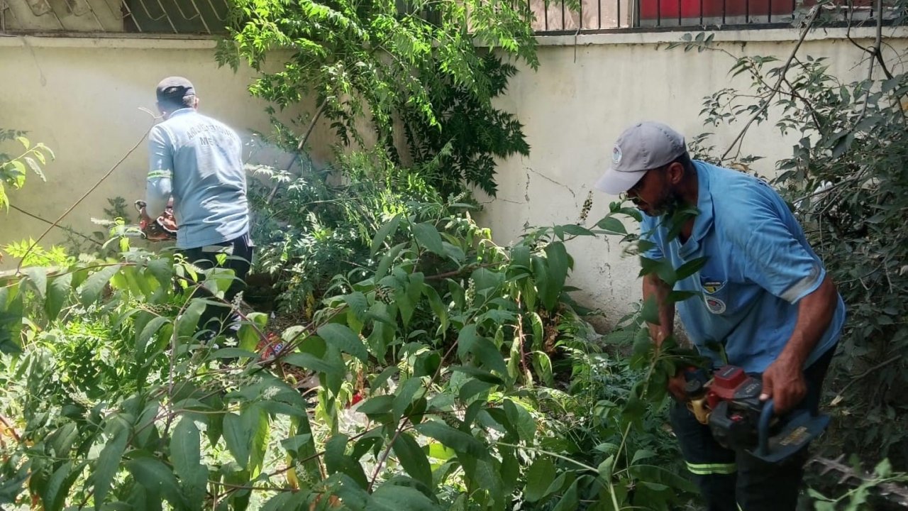 Mersin’ de park ve yeşil alanlarda bakım çalışmaları sürüyor