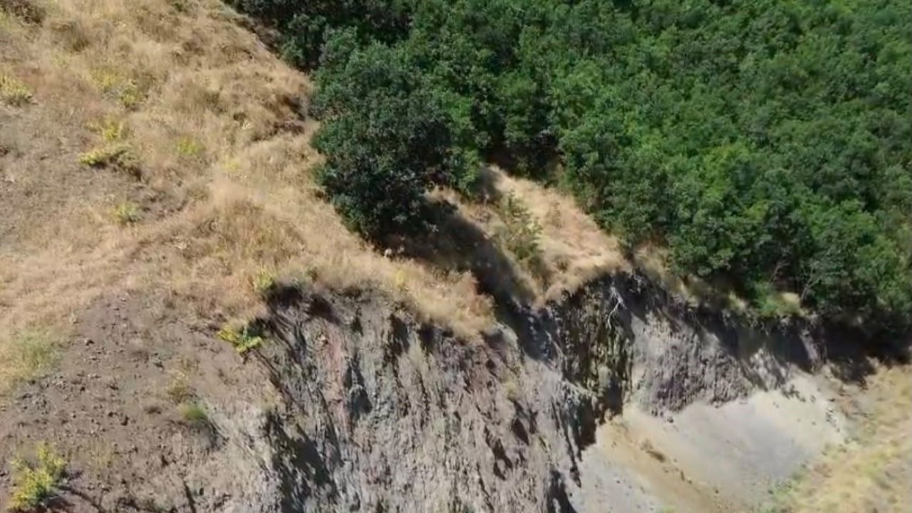 Bingöl’de nesli tükenme tehlikesi altında dağ keçisi görüntülendi