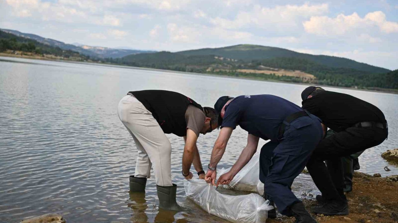 Uşak’ta Göğem Göleti’ne pullu sazan yavruları bırakıldı