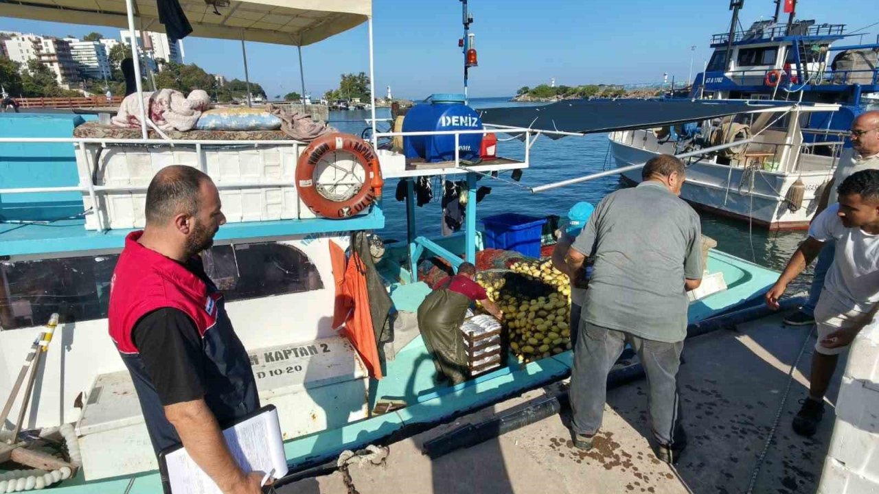 Akçakoca’da balıkçılar sezona hızlı başladı