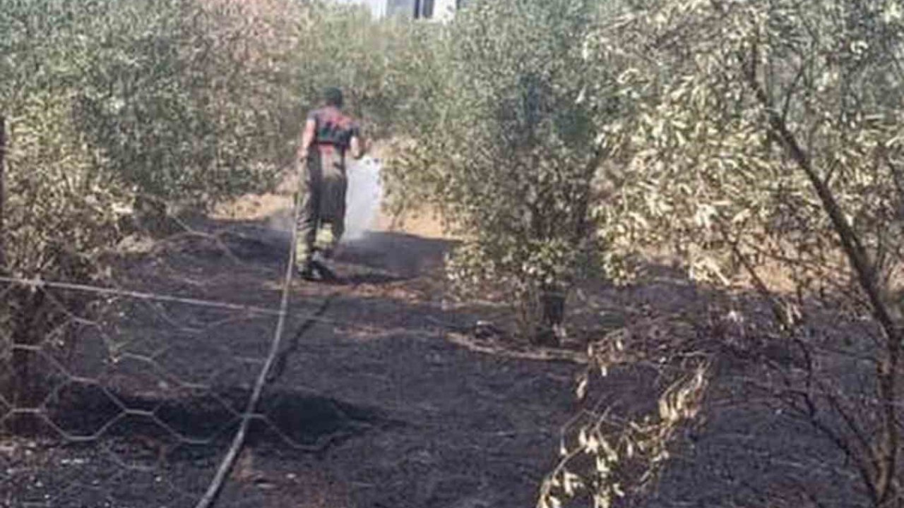 Dörtyol’da bahçe yangını kontrol altına alındı