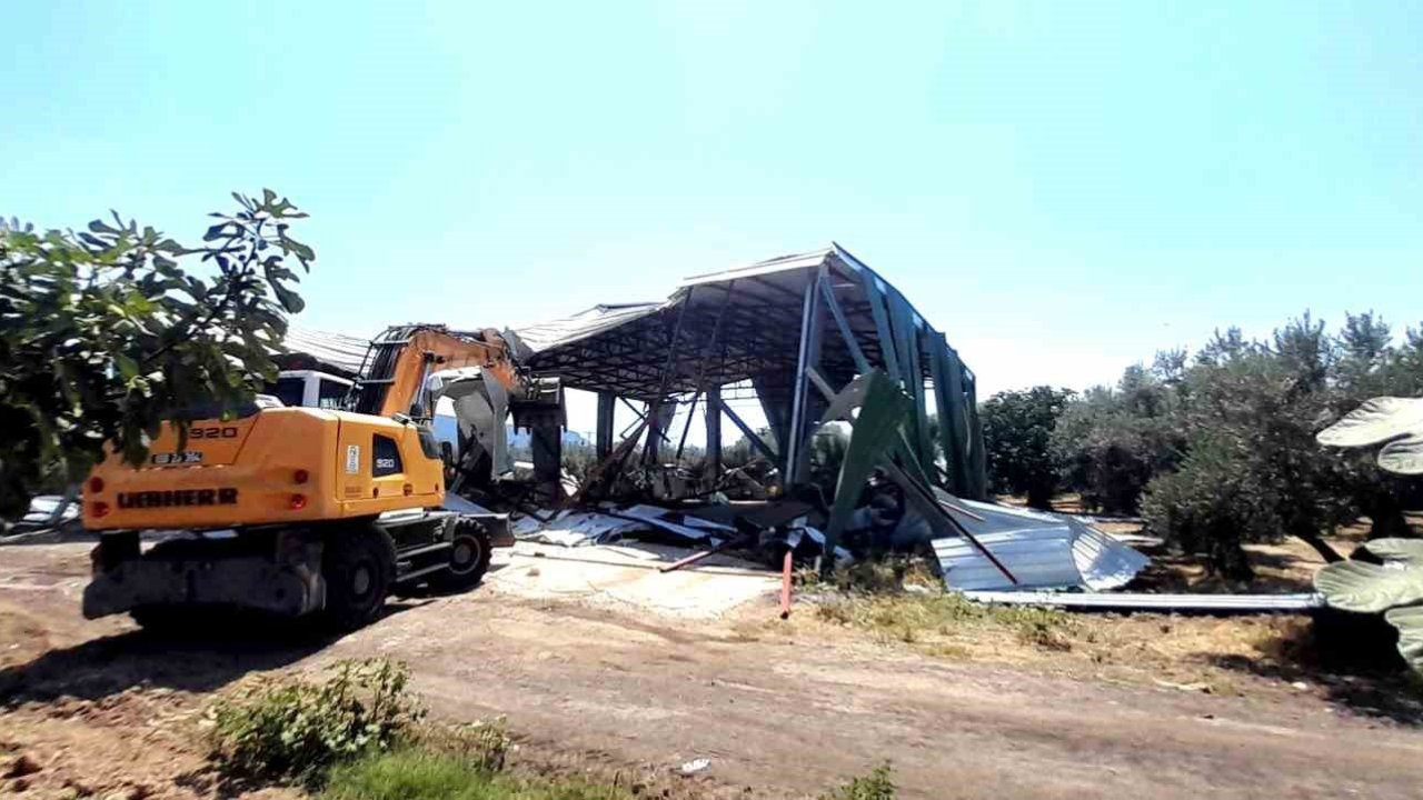 Bursa’da zeytinliğe yapılan kaçak depo böyle yıkıldı