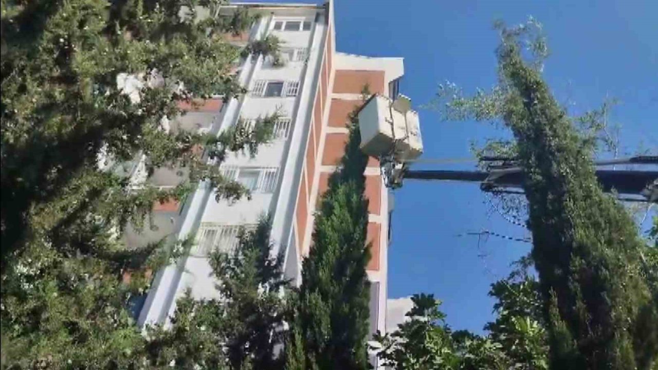 Mahsur kalan kediyi itfaiye kurtardı