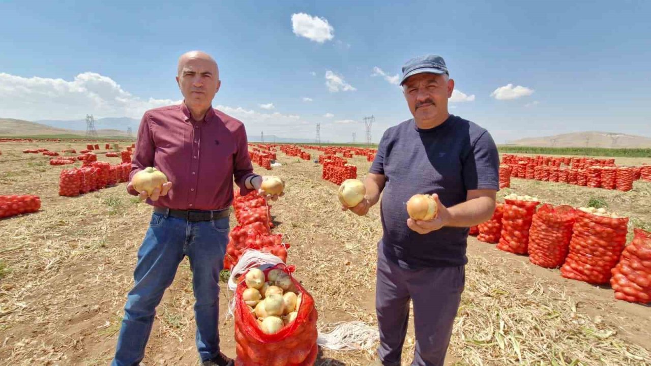 Karaman’da yazlık soğan üreticisinin yüzünü güldürüyor