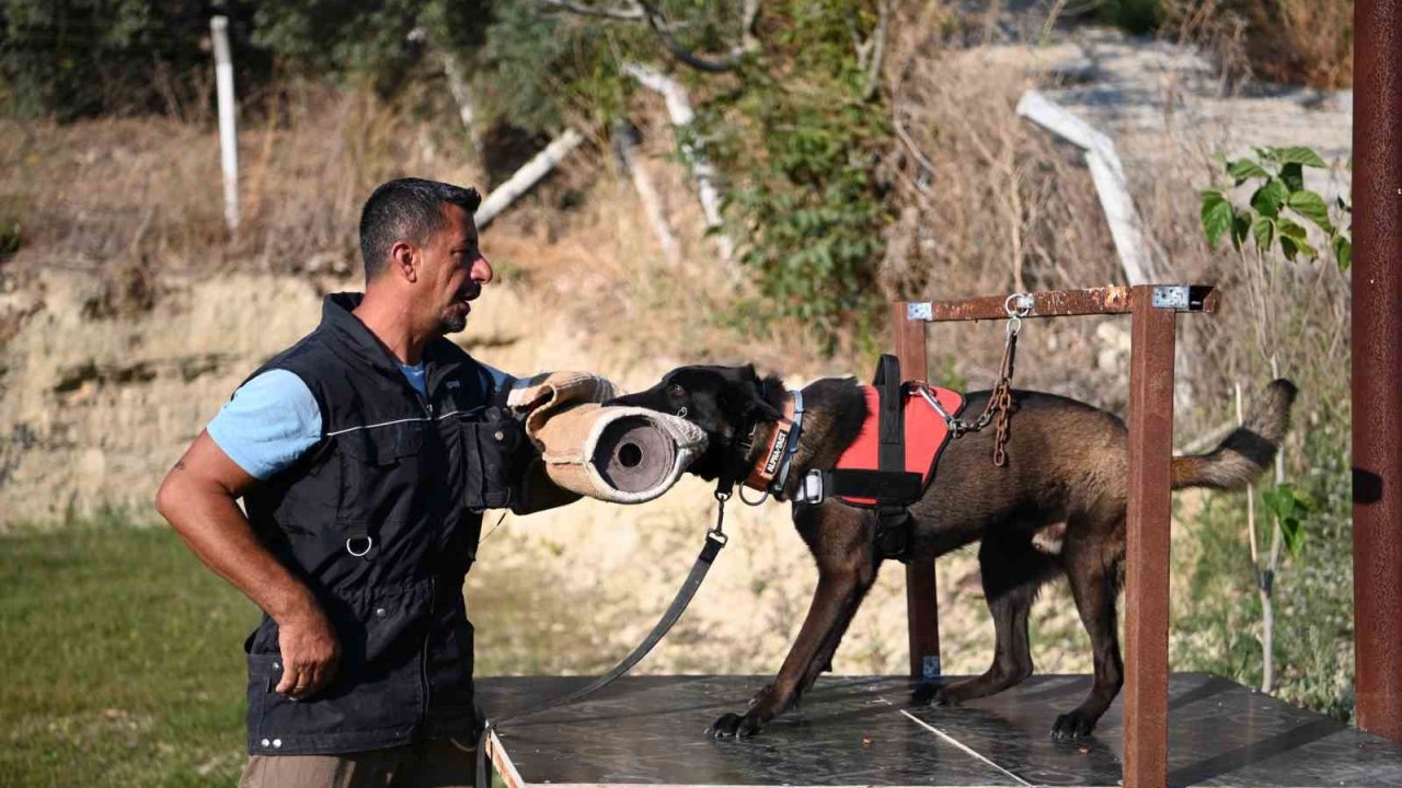 Yetiştirdiği kurtarma köpekleriyle doğal afetlerde birçok hayat kurtardı