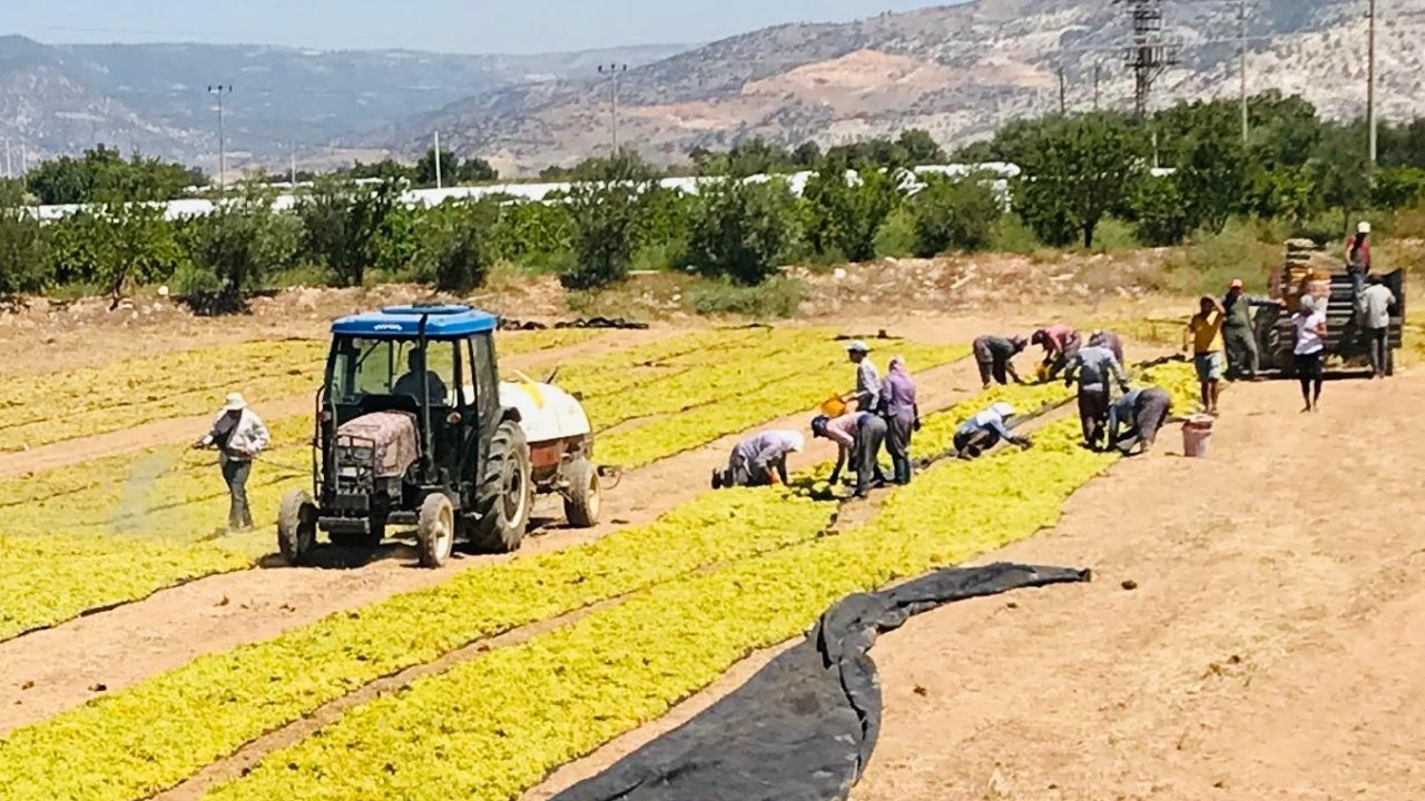 Üzüm üreticilerinin sorunlarını Cumhurbaşkanlığına aktarıldı