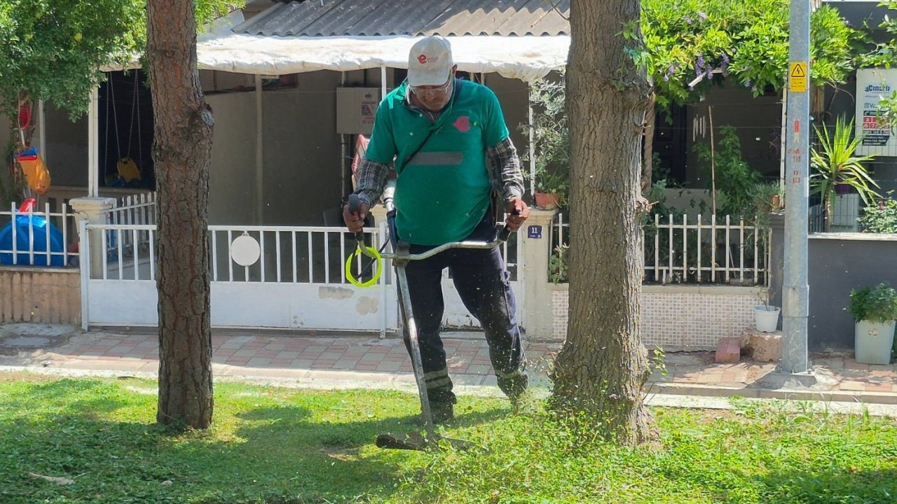 Efeler’de yeşil alanların bakımı sürüyor